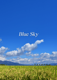 青い空 4