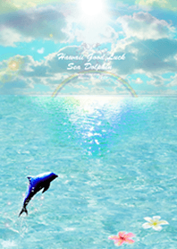 運気上昇 イルカと虹