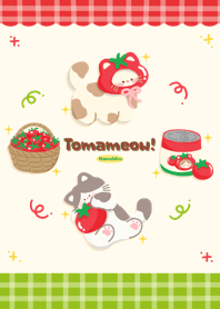 Tomameow!