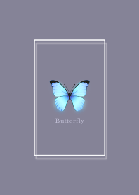 Adult female butterflies Gray