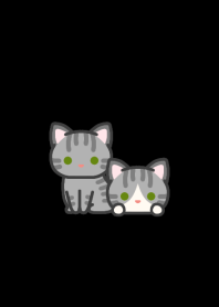 Silver Tabby Cat*darkmode*short-haired*
