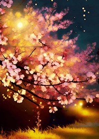 Beautiful night cherry blossoms#1048