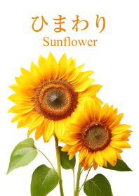 "Sunflower vol.2" theme