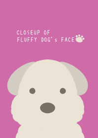 CLOSEUP OF FLUFFY DOG's FACE/PINK
