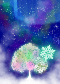 -Snowflake and snow flower2-