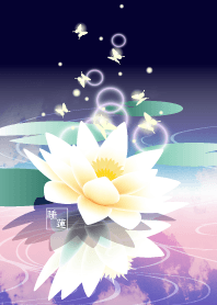 睡蓮（夜明け前）