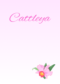花シリーズ Cattleya
