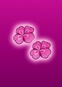 Super Lucky Clover Pink