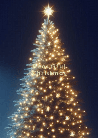 Beautiful Christmas-NAVY ORANGE- 9