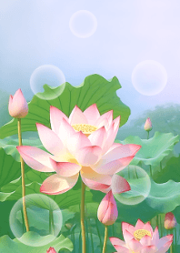 Beautiful Lotus #01