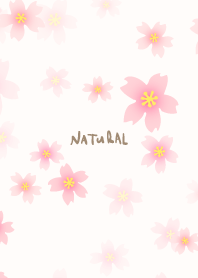 A cherry tree flutters down9 from Japan