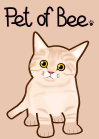 Pet of Bee.