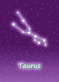 許願星座˙金牛座5