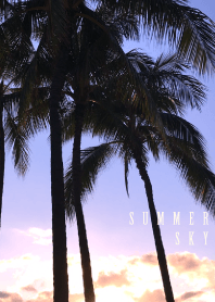 SUMMER SKY 2 -Palm tree- #cool