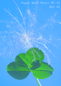 Angel Hair Photo #5-16Not AI