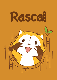あらいぐまラスカル