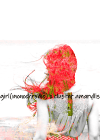 girl(monochrome) x cluster amaryllis