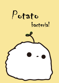 馬鈴薯菌