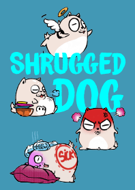 A Funny Shrugged Dog