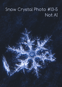 Snow Crystal Photo #13-5Not AI