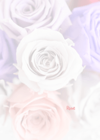 Rose Theme ver.Japan 51