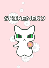 SHIRENEKO