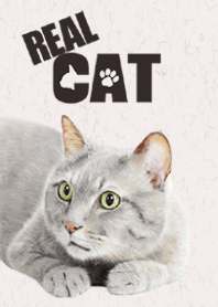 REAL CAT