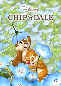 Chip 'n' Dale (Baby Blue Eyes)