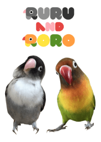 RURU and RORO @ペットグランプリ