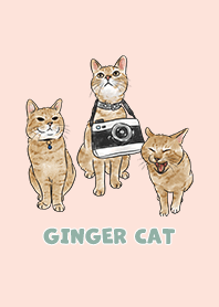 gingercat2 - peach pink