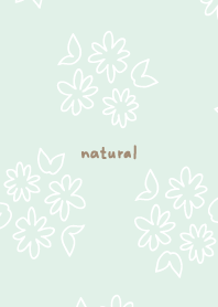 白い線の丸い花18