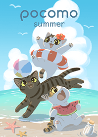 pocomo summer 2021