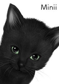 みにい用可愛い黒猫子猫