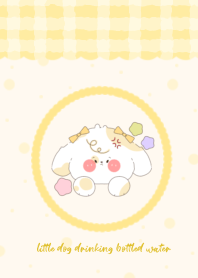 little dog drinking bottled water2