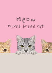 Meow - Mixed breed cat 03 - SWEET PINK