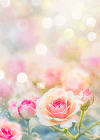 Beautiful rose flower(R2689)