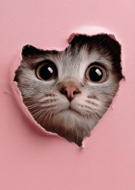 Curiosity Breaking Through Paper