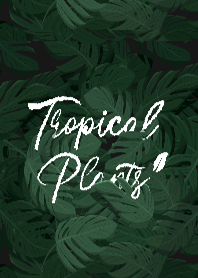 Tropical plants - Flipy