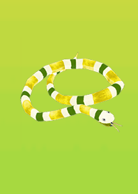 Rising fairy white snake yellow