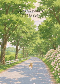 Blossom Road & Little Cat