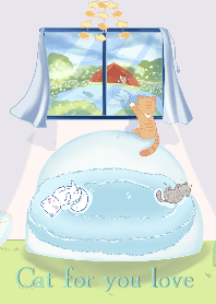 Cat for you love