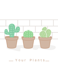 your plant_Cactus