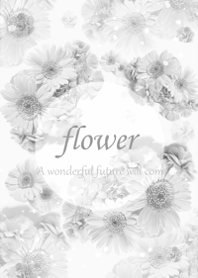 Gerbera wrapped in gentle happiness21