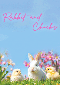 Rabbit and Chicks -Spring blue sky-Pink
