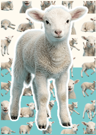 baby sheep Beige Pastel