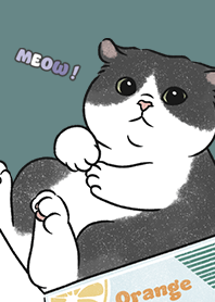 neko single20 / cadet blue