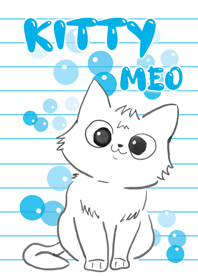 Kitty Meo cute white cat