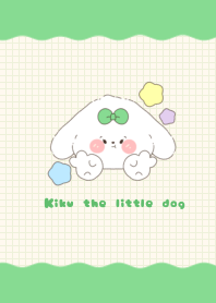 Kiku the little dog2