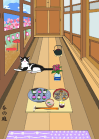 日本系列4-古宅走廊上的猫-春天
