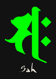 BONJI zodiac [saH] BLACK GREEN (0690